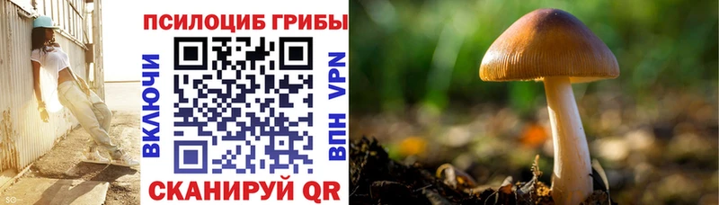 omg как зайти  Калязин  Псилоцибиновые грибы Magic Shrooms  где купить наркоту 