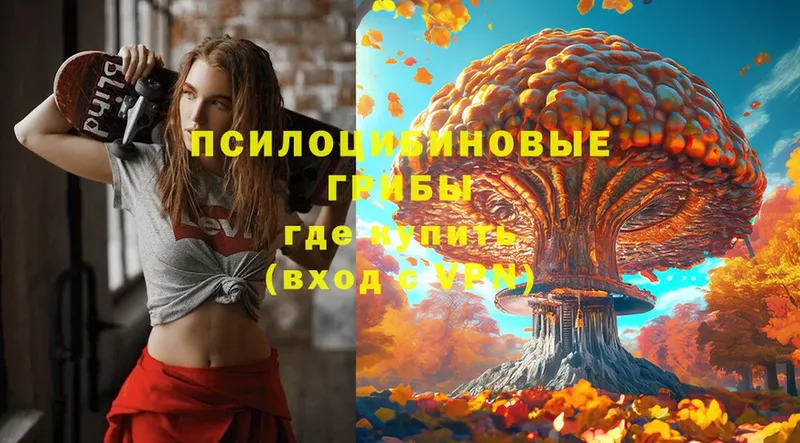 Псилоцибиновые грибы MAGIC MUSHROOMS  ОМГ ОМГ ССЫЛКА  Калязин 