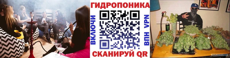 Бошки Шишки сатива  наркошоп  Калязин 